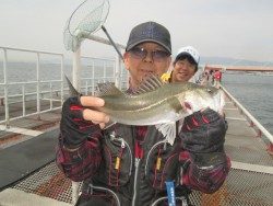 尼崎市立魚つり公園のハネ・セイゴ釣果、サビキは回遊遅れているようです