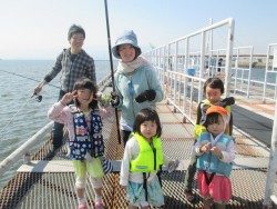尼崎市魚つり公園 サビキのカタクチイワシ出始めました