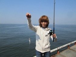 尼崎市立魚つり公園 シラサでチヌの釣果