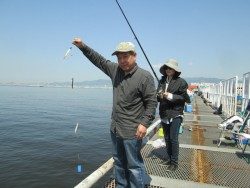 尼崎市立魚つり公園 投稿