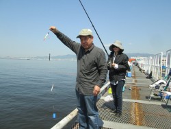 尼崎市立魚つり公園 投稿