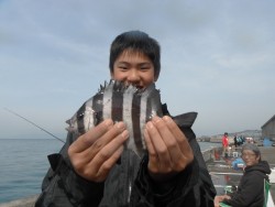 和歌山北港魚つり公園　サンバソウ21cmの…