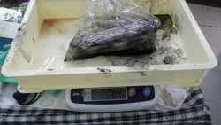 椿地磯でエギング　アオリキロアップ！