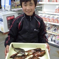 堺漁港のガシラ釣果！地元中学生3人衆！