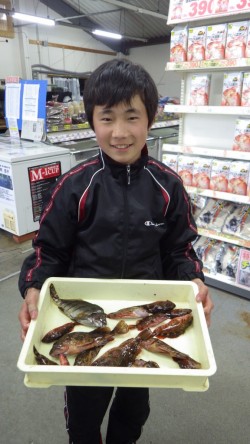 堺漁港のガシラ釣果！地元中学生3人衆！