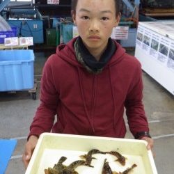 堺漁港のガシラ釣果！地元中学生3人衆！