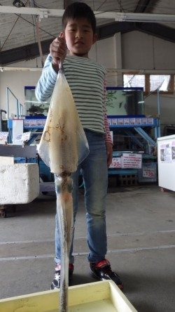 御坊でアオリイカ1.98ｋｇ