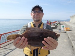 神戸市立平磯海づり公園 投げ釣りでカレイ3…