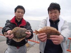 神戸市立平磯海づり公園 花見ガレイの釣果