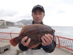 神戸市立平磯海づり公園 マムシをエサにカレイ39ｃｍ！