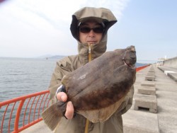 神戸市立平磯海づり公園 投げ釣りでカレイ3…