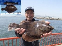 神戸市立平磯海づり公園 投稿