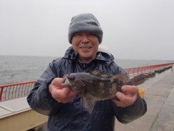 神戸市立平磯海づり公園 投稿