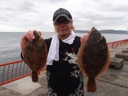 神戸市立平磯海づり公園 投げ釣りでカレイ34ｃｍ&27ｃｍ