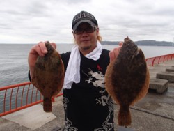 神戸市立平磯海づり公園 投げ釣りでカレイ3…