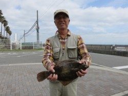 平磯海釣り公園　投げ釣りでカレイ40cm