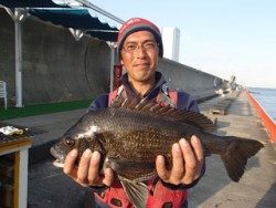 神戸市立平磯海づり公園 投げ釣りで年なしチヌ