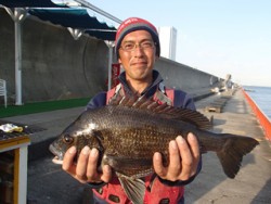 神戸市立平磯海づり公園 投げ釣りで年なしチ…