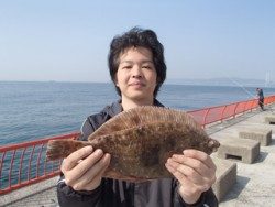 平磯海釣り公園　投げ釣りでカレイ36.5cm