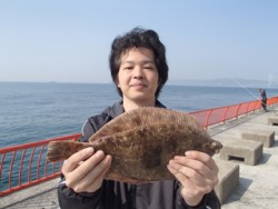 平磯海釣り公園　投げ釣りでカレイ36.5c…