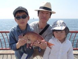 平磯海釣り公園　投げ釣りでマダイ36cm