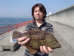 神戸市立平磯海づり公園 投稿