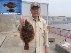 神戸市立平磯海づり公園 投げ釣りでカレイ1…