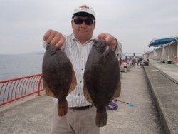 神戸市立平磯海づり公園 投げ釣りでカレイ