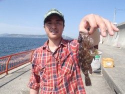 神戸市立平磯海づり公園 投げ釣りでガシラ