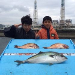 マリーナシティ　海洋釣り堀の釣果