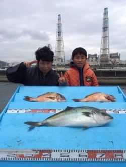 マリーナシティ　海洋釣り堀の釣果