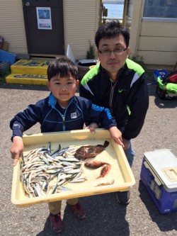 マリーナシティ海釣り公園　小イワシの数釣り…