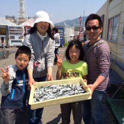 マリーナシティ海釣り公園　小イワシの数釣りできます