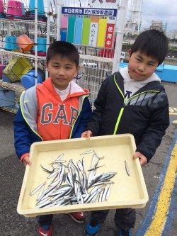 和歌山マリーナシティ海釣り公園 サビキでイワシの釣果