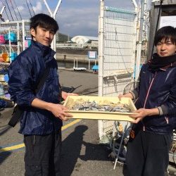 和歌山マリーナシティ海釣り公園 サビキでイワシ好調