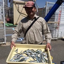 和歌山マリーナシティ海釣り公園 サビキで豆イワシの釣果