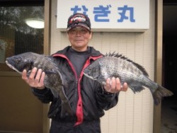 カルモ島でフカセ釣り　チヌ40cm〜48.…