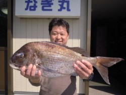 湯浅の磯でフカセ　真鯛、チヌ釣れました