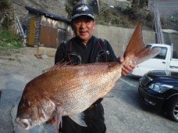 90cmオーバーの巨大真鯛!三尾の磯でのかご釣り