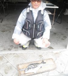 大磯にてフカセチヌの釣果