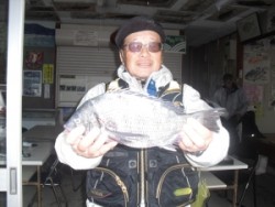 大磯にてフカセチヌの釣果