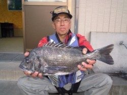 カルモ島のフカセ釣りでチヌの釣果