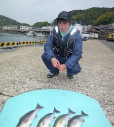 神谷沖一文字　カゴ釣りでイサギ4尾