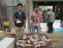 田井の釣堀　マダイとメジロの釣果