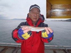 須磨海釣り公園　キス記録賞！