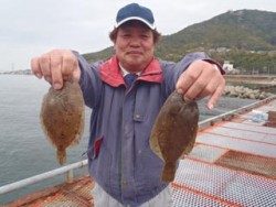 神戸市立須磨海づり公園 投げ釣りでカレイとカンゾウビラメ