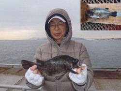 神戸市立須磨海づり公園 シラサエビのウキ釣…