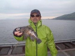 神戸市立須磨海づり公園 ナイスサイズのメバル釣果