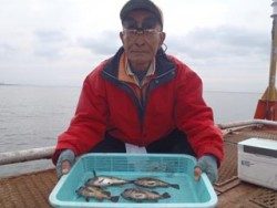 神戸市立須磨海づり公園 ウキ流し釣りでメバル