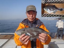 神戸市立須磨海づり公園 ウマヅラハギ35.…